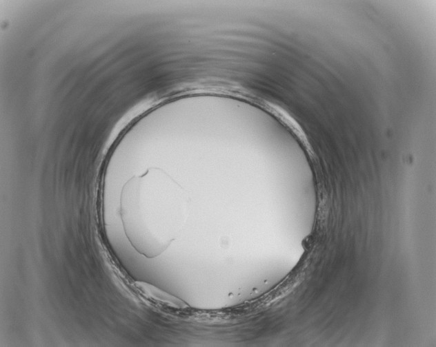 X0000086071146200704202120