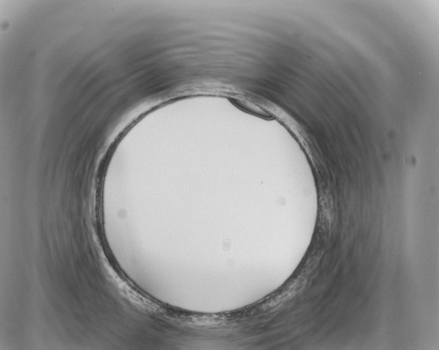 X0000086071147200704202120