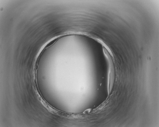 X0000086071148200704202120