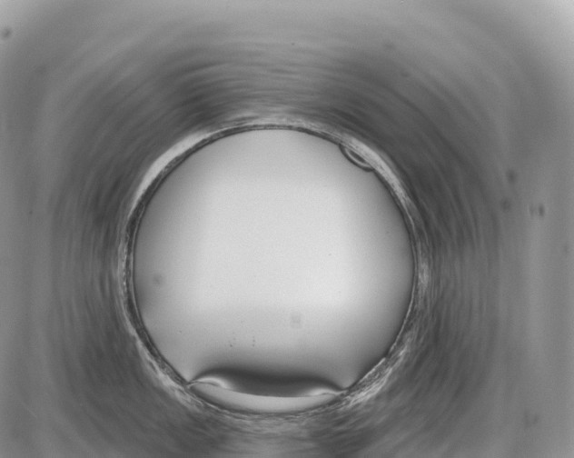 X0000086071149200704202120