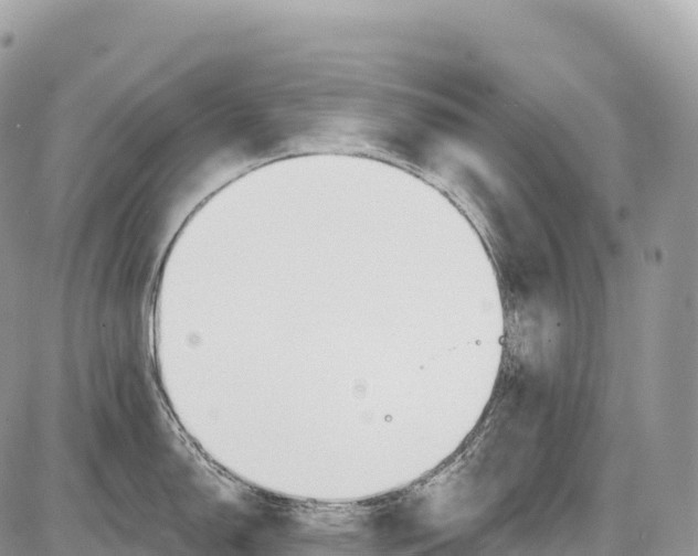 X0000086071150200704202120