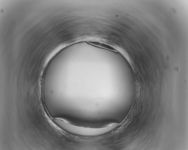 X0000086071151200704202120