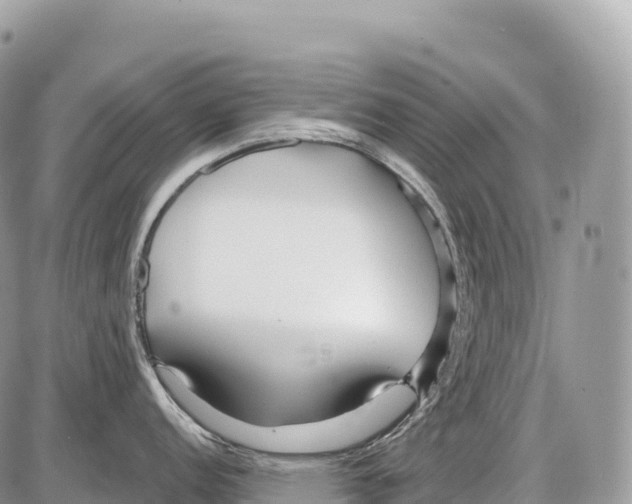 X0000086071152200704202120