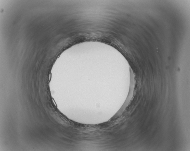 X0000086071153200704202119