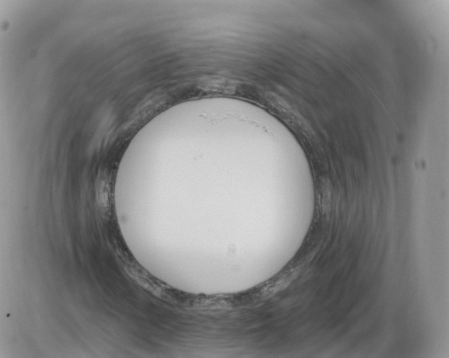 X0000086071154200704202119