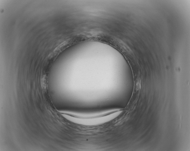 X0000086071156200704202119