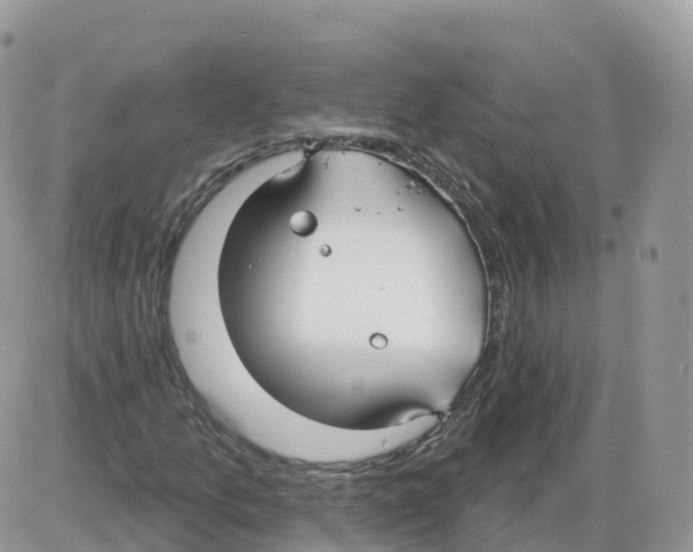 X0000086071157200704202119