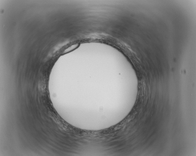 X0000086071158200704202119