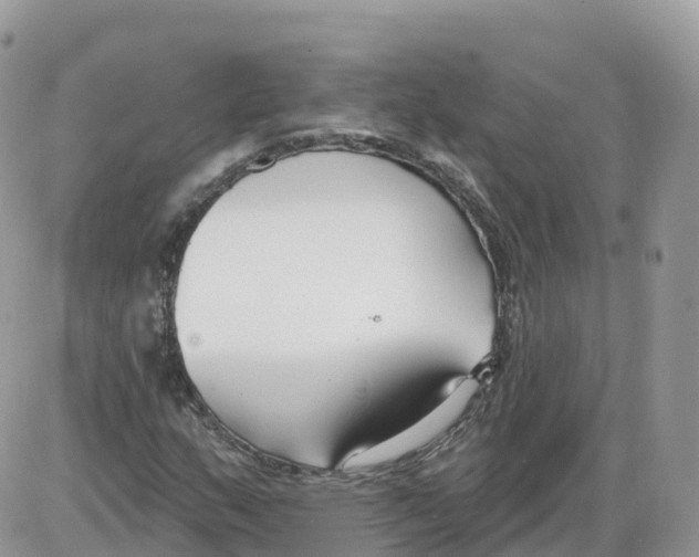 X0000086071159200704202119