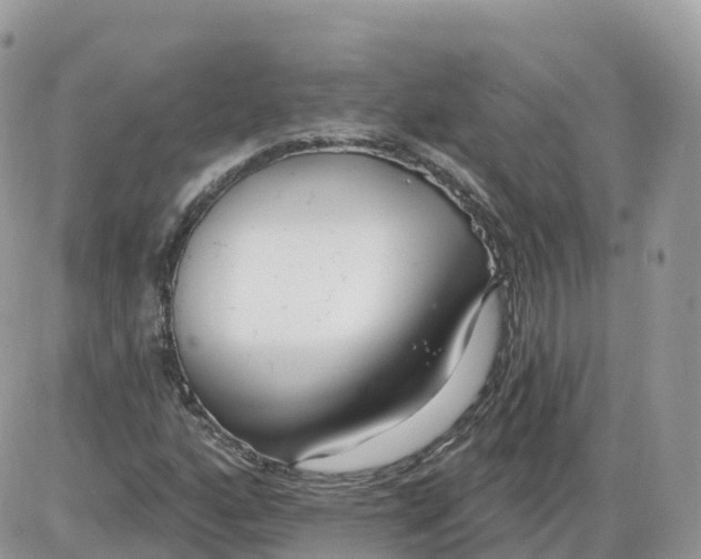 X0000086071160200704202119