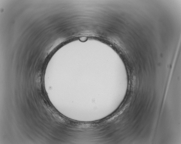 X0000086071162200704202119