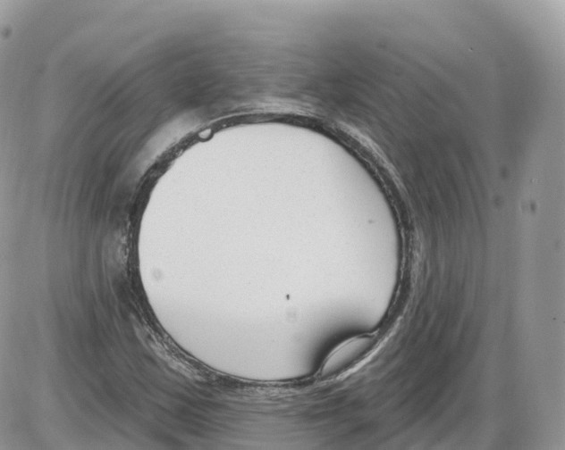 X0000086071163200704202119