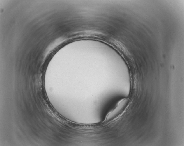 X0000086071164200704202119