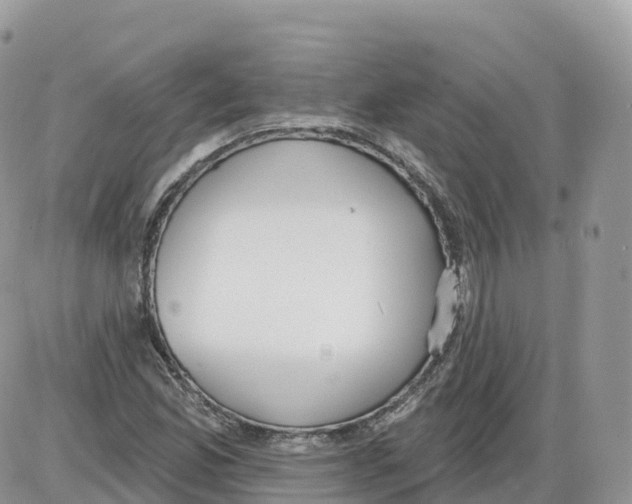 X0000086071165200704202119