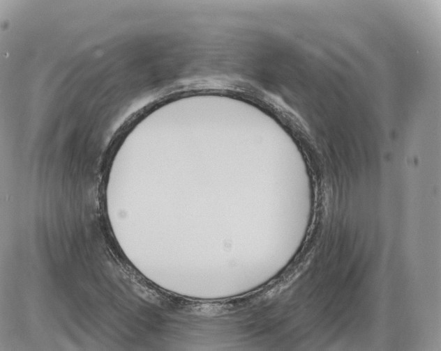 X0000086071166200704202119