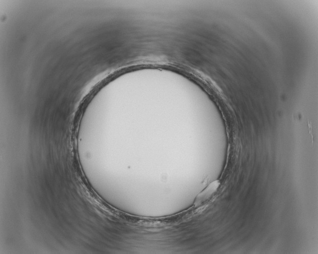 X0000086071168200704202119