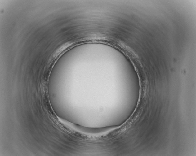 X0000086071169200704202119