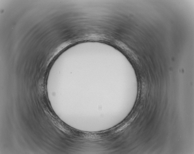 X0000086071170200704202119