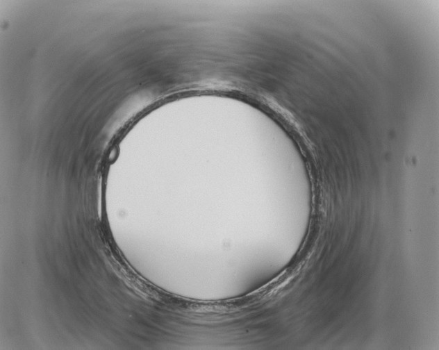 X0000086071171200704202119