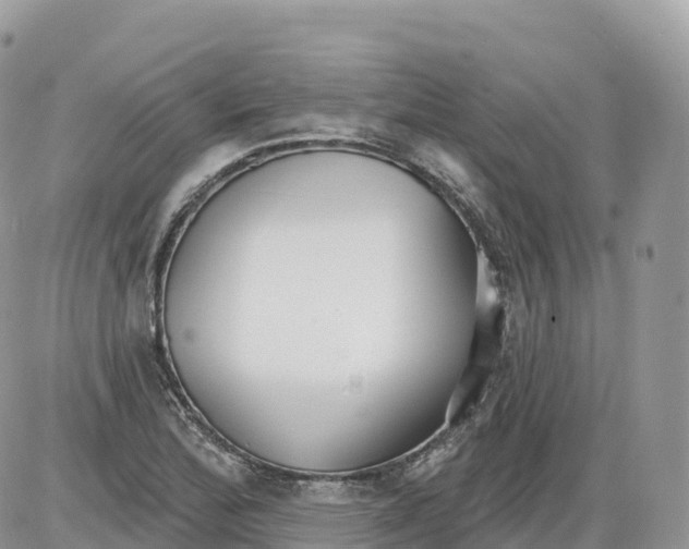 X0000086071172200704202119