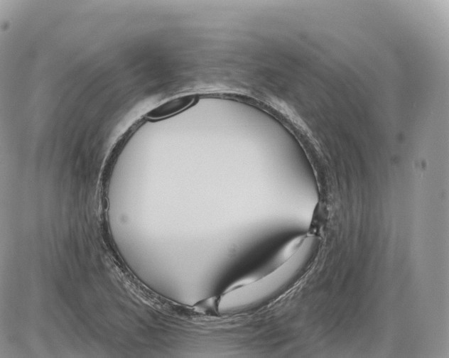 X0000086071173200704202119