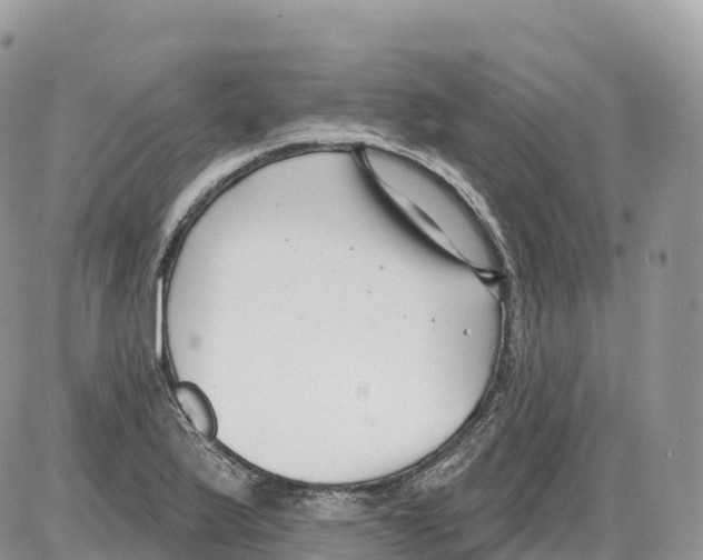 X0000086071175200704202119