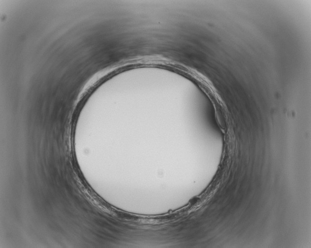 X0000086071176200704202119