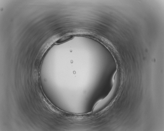 X0000086071177200704202119