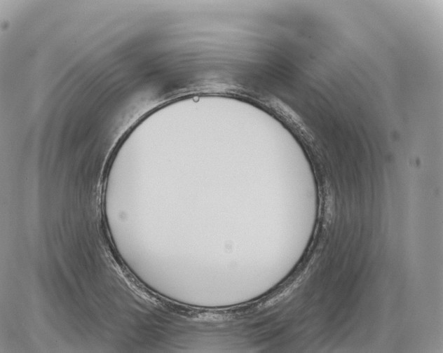 X0000086071178200704202119