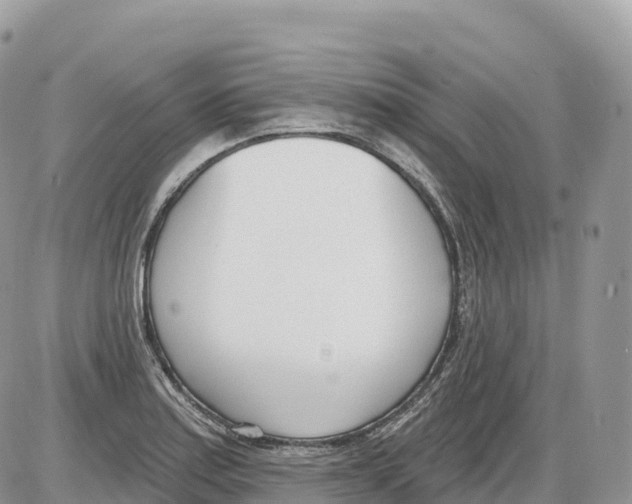 X0000086071179200704202119