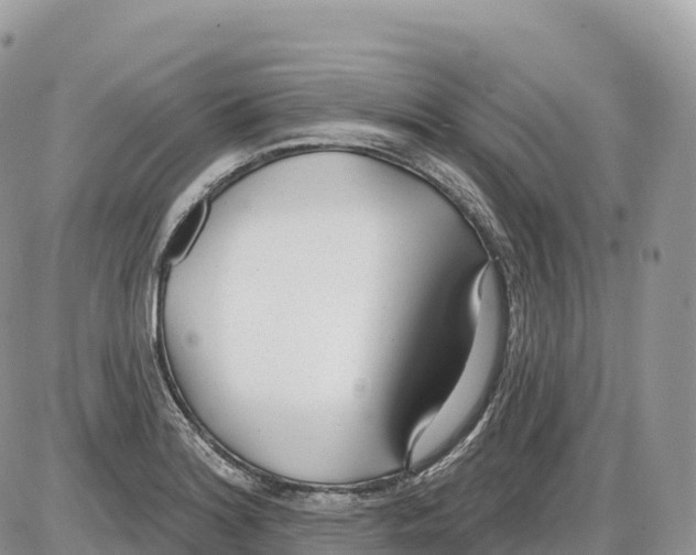 X0000086071180200704202119