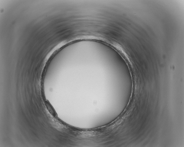 X0000086071181200704202119