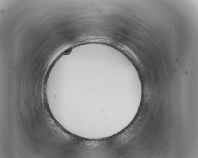 X0000086071182200704202119