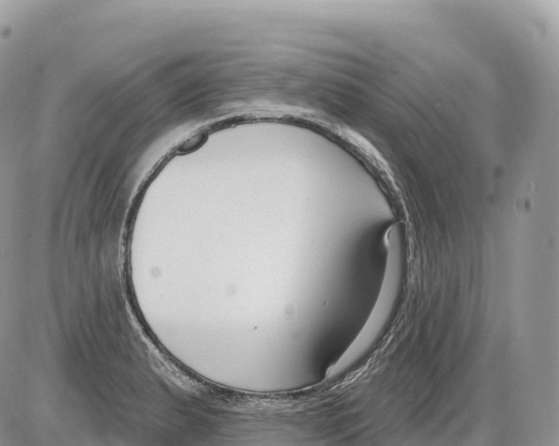 X0000086071183200704202119