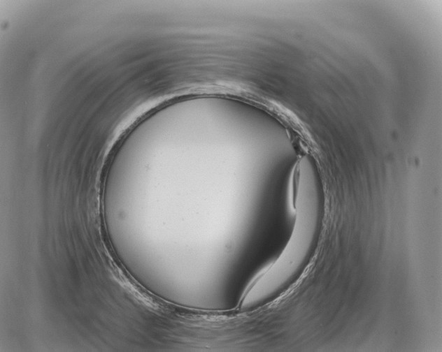 X0000086071184200704202119