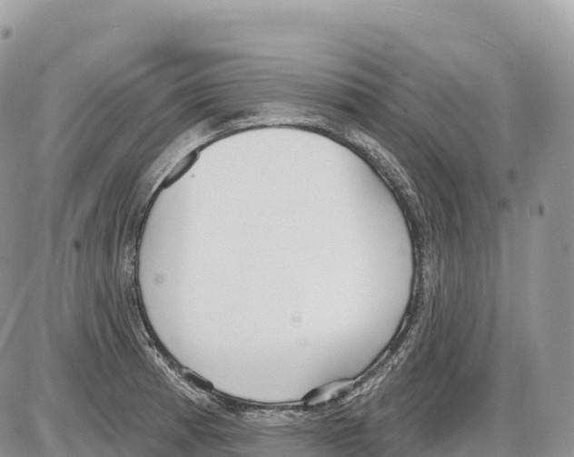 X0000086071185200704202119