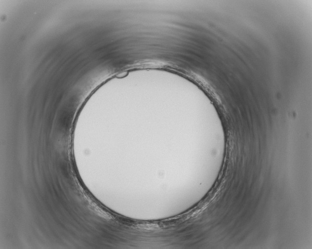 X0000086071186200704202119