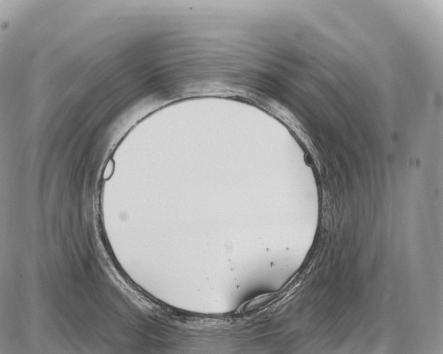 X0000086071187200704202119