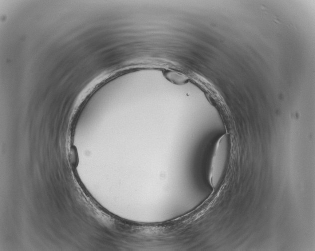 X0000086071188200704202118