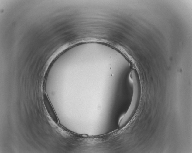 X0000086071189200704202118