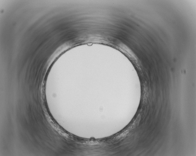 X0000086071190200704202118