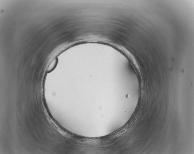 X0000086071191200704202118