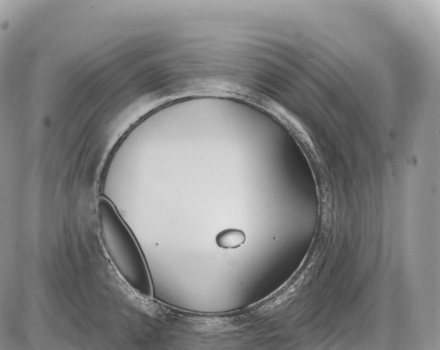 X0000086071192200704202118