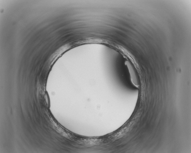 X0000086071193200704202118