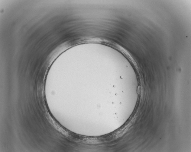 X0000086071194200704202118