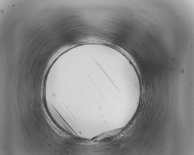 X0000086071195200704202118