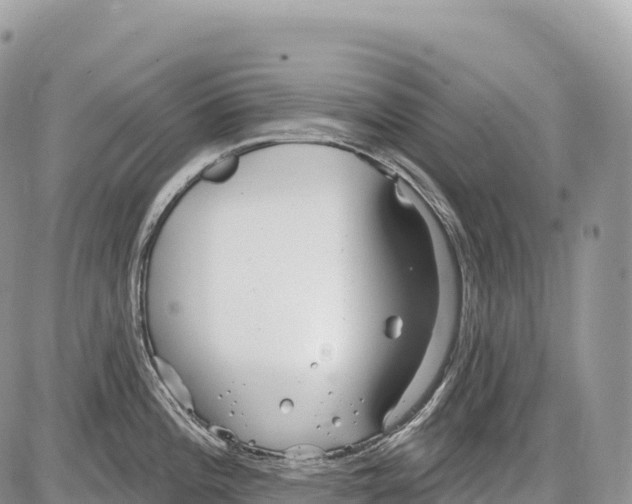 X0000086071196200704202118