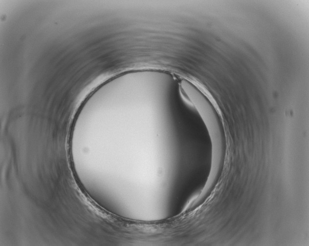 X0000086071197200704202118