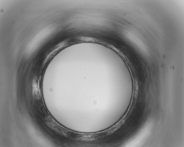 X0000086071198200704202118