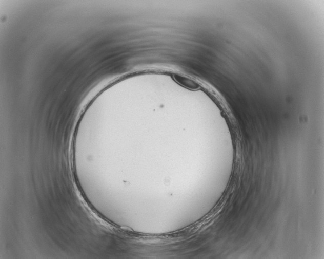 X0000086071199200704202118